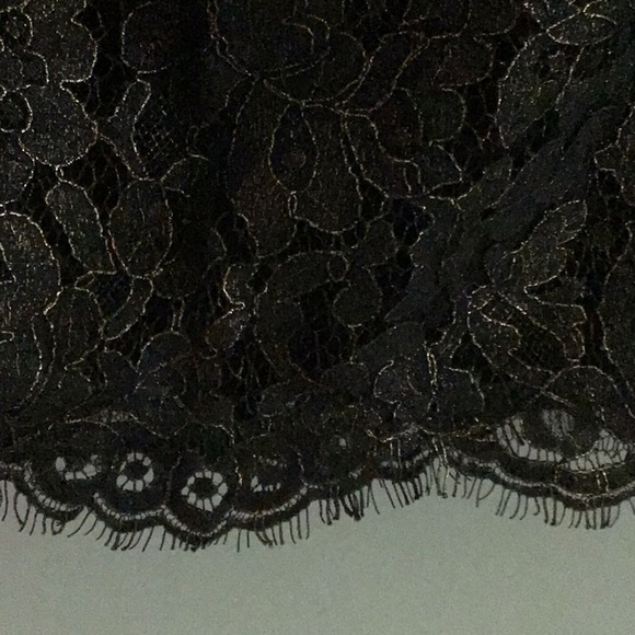 Joie Abeline Pull On Lace Skirt Espresso Brown Large - Picture 5 of 10